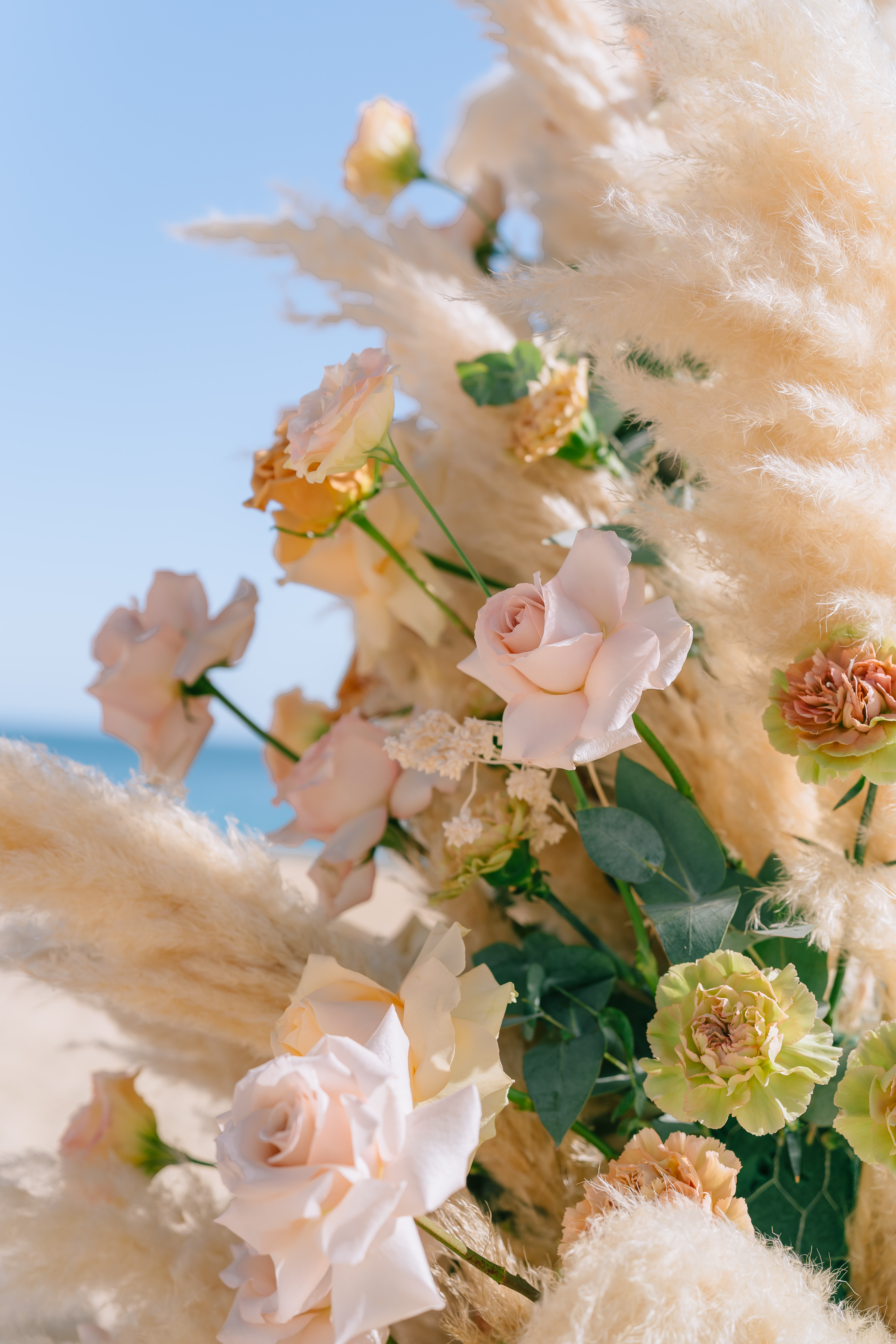 Cabo Wedding